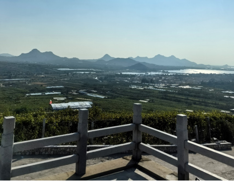 平度大澤山葡萄園引進(jìn)萊恩德土壤肥料檢測儀， 輕松掌握土壤營養(yǎng)